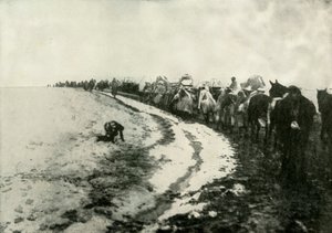 Det store serbiske tilbagetog, 1919. af Unbekannt