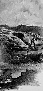 The Hot Springs nær Gardiners River, 1883 af Unbekannt