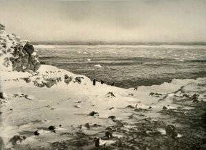 The Last of the Penguins lige før deres migration i marts, c1908, 1909. af Unbekannt