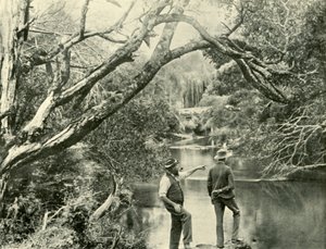 The Launching Place, Upper Yarra, Victoria, 1901. af Unbekannt