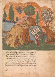 Løvernes konge, med sin mor, modtager Dimna, Folio fra en Kalila wa Dimna, 1700-tallet. af Unbekannt