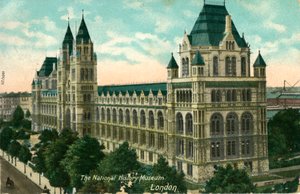 National History Museum, London, c1910. af Unbekannt