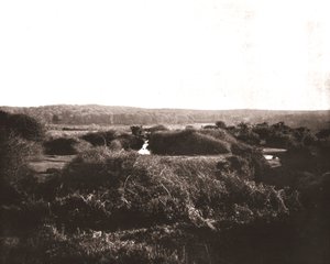 The New Forest, Hampshire, 1894. af Unbekannt