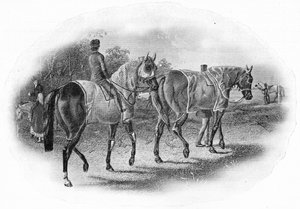 The Next Race, 1800-tallet, 1911 af Unbekannt