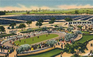 Paddock ved Santa Anita, Los Angeles Turf Club, Arcadia, Californien, 1930