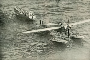 The Return to the Dove to the Ark, 1919. af Unbekannt