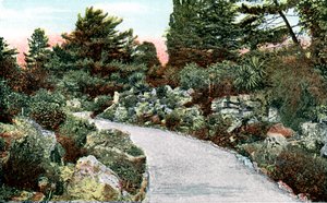 The Rockery, Kew Gardens, Richmond upon Thames, London, 20. århundrede af Unbekannt