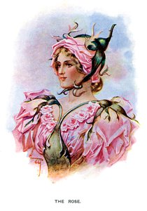Rosen, 1899 af Unbekannt