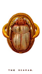 The Scarab, 1923 af Unbekannt