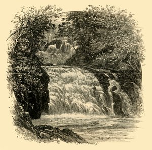 Svalefaldene, 1898. af Unbekannt