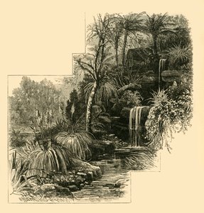 The Tropical Gardens, Battersea Park, c1878. af Unbekannt
