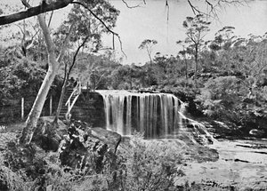 The Weeping Rock ved Wentworth Falls, Blue Mountains, c1900. af Unbekannt
