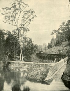 The Weir and Fluming, Kirks Reservoir, 1901. af Unbekannt