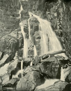 Wellington Falls, Mount Wellington, 1901. af Unbekannt