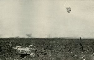 Den uldne bjørn., 1919. af Unbekannt