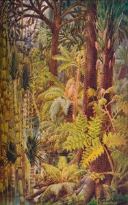 Den gigantiske vegetation i karbontiden, 1907. af Unbekannt