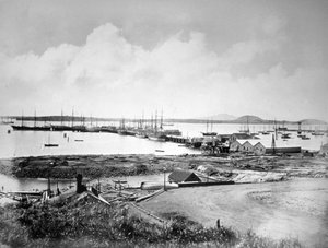 Havnen, Auckland, New Zealand, c1870-1880 af Unbekannt