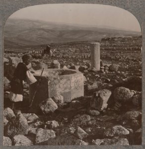 Ruinerne af Tekoa, c1900 af Unbekannt