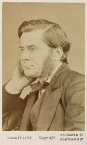 Thomas Henry Huxley, britisk biolog, c1865-1886 af Unbekannt