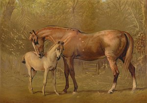 Fuldblods hoppe og føl, c1879. af Unbekannt