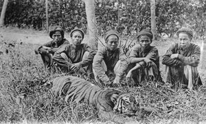 Tigerjægere, Tonkin, Vietnam, 20. århundrede af Unbekannt