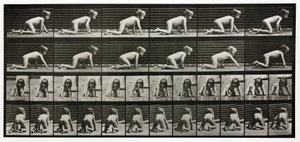 Time-lapse-billeder af et barn, der kravler af Unbekannt