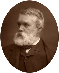 Tom Taylor, dramatiker og kritiker, 1881 af Unbekannt
