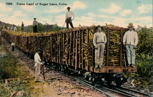 Toglast af sukkerrør forlader marken, Cuba, 1915 af Unbekannt