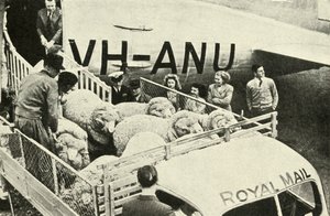 Transport af præmievæddere med luft, c1948. af Unbekannt