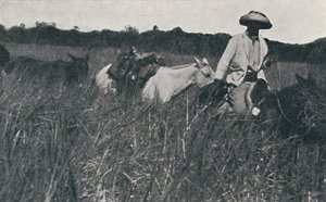 Rejse på Pampas, 1916 af Unbekannt