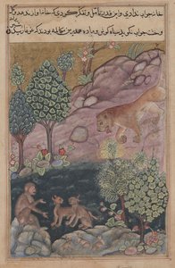 Tuti-Nama Tales of a Papegøje: Fortælling XXIX, Løven vender tilbage til sit territorium og se, ca. 1560. af Unbekannt