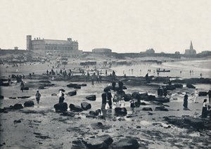 Tynemouth - The Aquarium and Sands, 1895 af Unbekannt