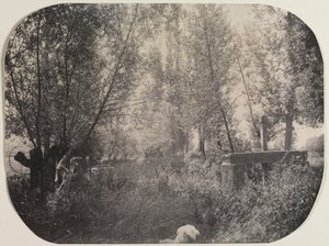 Uden titel Landskab med Hund, ca. 1910. af Unbekannt