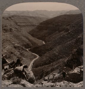 Arnodalen, hyrde og får i forgrunden, c1900 af Unbekannt