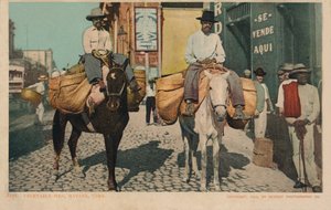 Grøntsagsmænd, Havana, Cuba, 1904 af Unbekannt