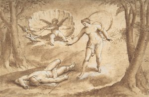 Venus opdager Adonis
