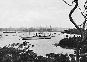 Udsigt over Sydney Harbour fra North Shore, nr. 2, c1900. af Unbekannt