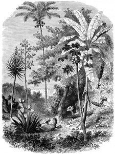 Udsigt over den spanske hovedgade, Guatemala, 1877 af Unbekannt