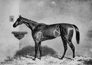 Virago, 1851-1869, 1911 af Unbekannt