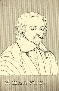 W. Harvey, 1578-1657, 1830. af Unbekannt