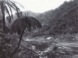 Wanganui-floden, slutningen af det 19.-begyndelsen af det 20. århundrede. af Unbekannt