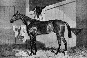 Hexenmeister, 19. Jahrhundert, 1911