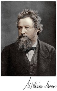 William Morris, engelsk kunstner, forfatter, socialist og aktivist fra det 19. århundrede, 1901 af Unbekannt