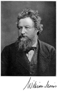 William Morris, engelsk kunstner, forfatter, socialist og aktivist fra det 19. århundrede, 1901 af Unbekannt