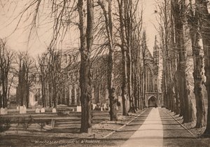Winchester Cathedral and Avenue, Hampshire, begyndelsen af det 20. århundrede. af Unbekannt