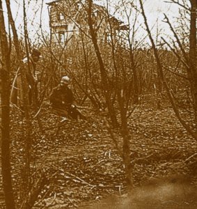 Træ, c1914-c1918 af Unbekannt