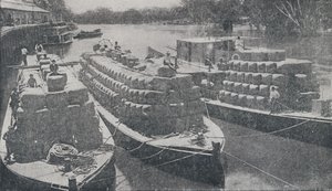 Uldpramme på Murray River, 1923. af Unbekannt