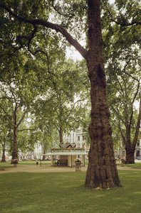 Berkeley Square, London W1 af Unbekannt Unbekannt