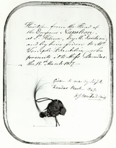 Hår skåret fra hovedet af kejser Napoleon af Giovanni Natale Santini og givet af ham til William Temple Franklin, 1816 (hår) af Unbekannt Unbekannt
