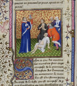 Ms.251 f.54v En læge med sine patienter, fra Des Proprietez des Choses, c.1415 af Unbekannt Unbekannt